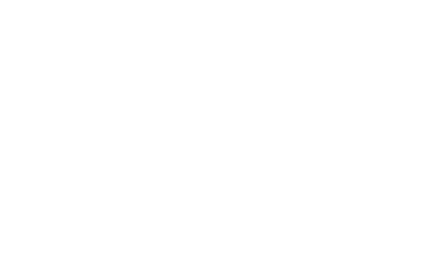 PVK:n logo